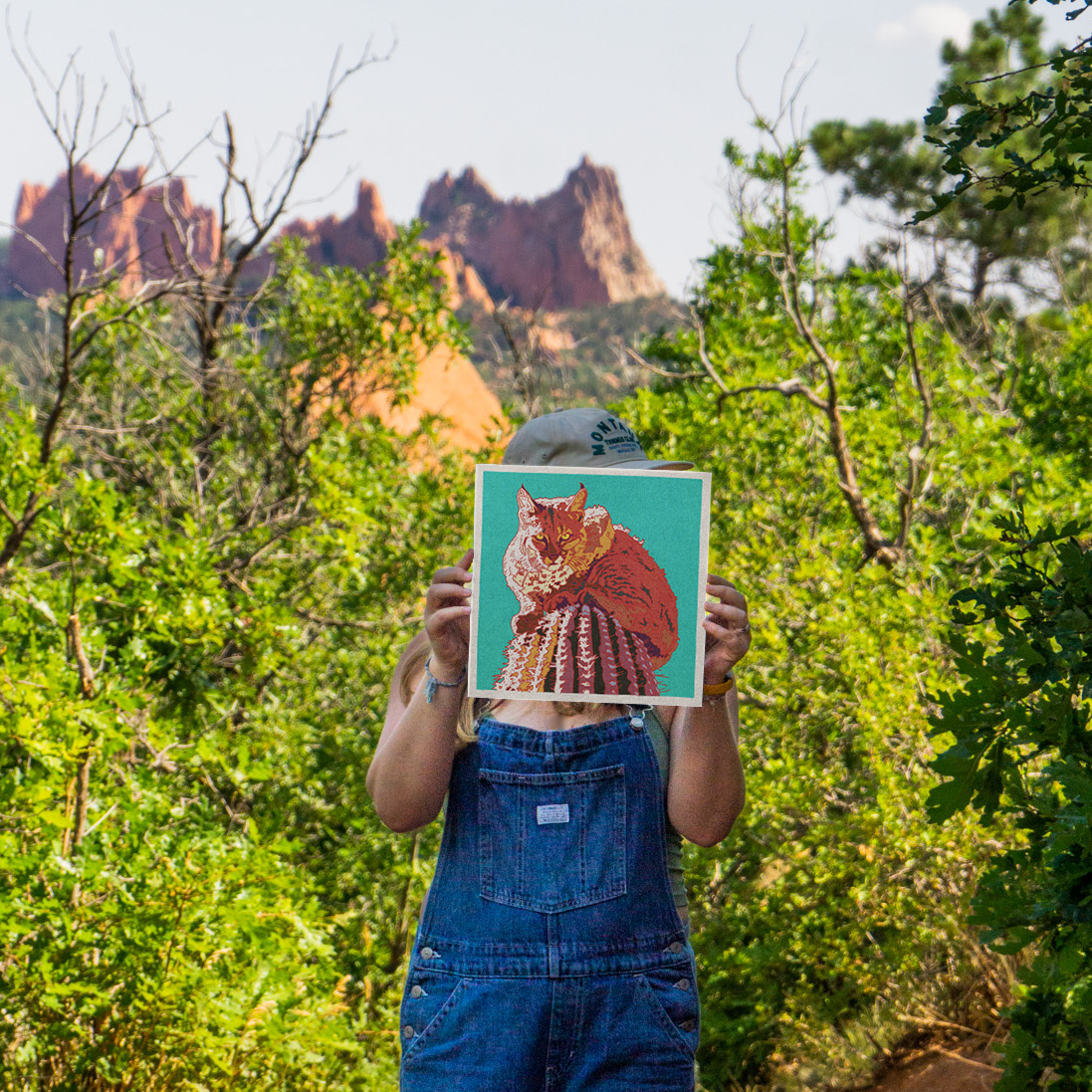 Bobcat Cactus Art Print