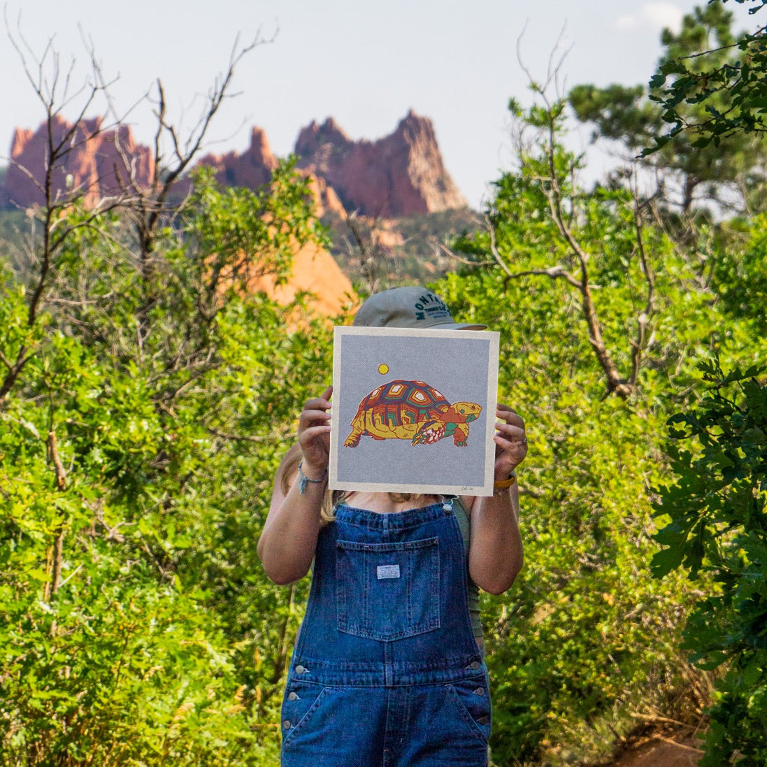 Desert Turtle Art Print