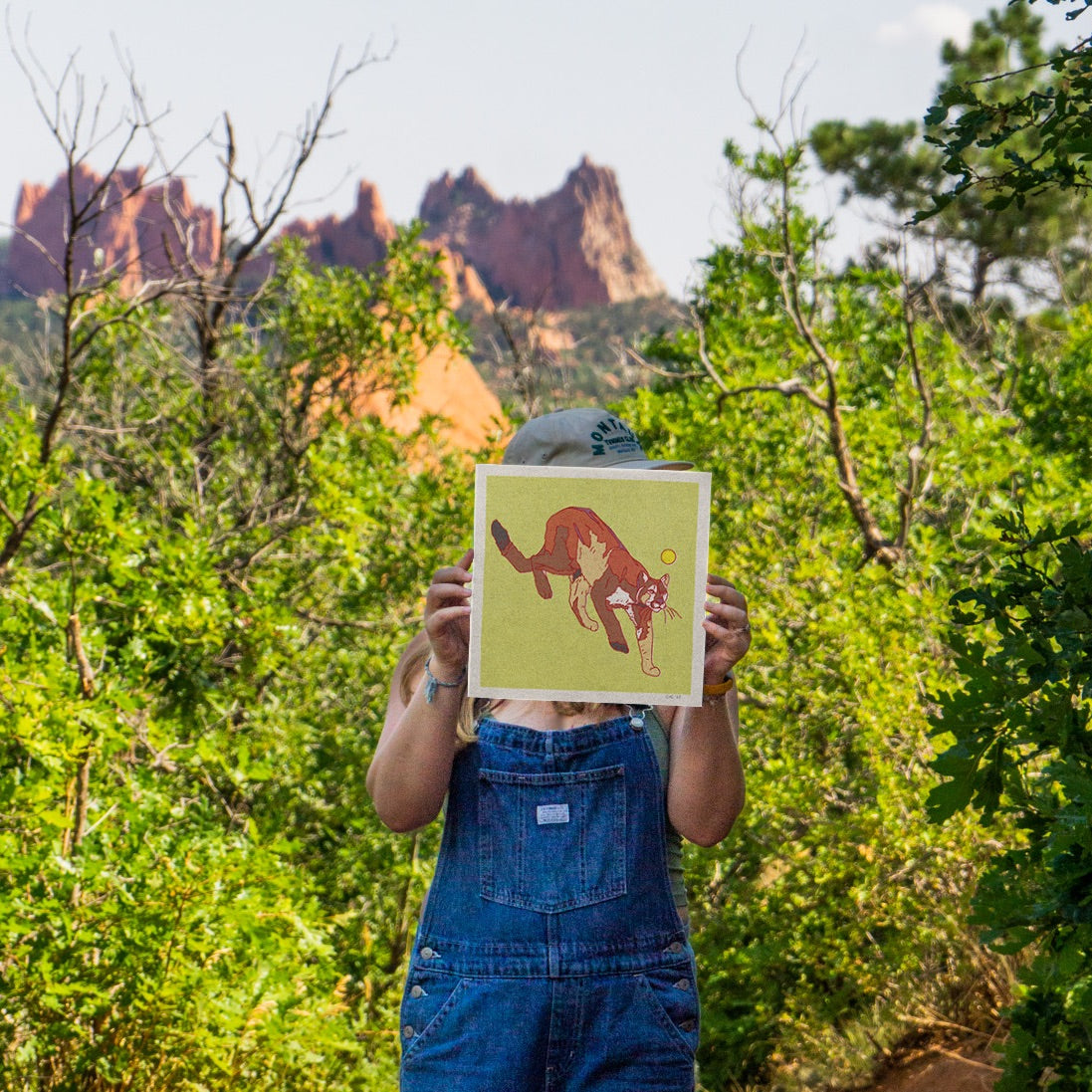 Mountain Lion Art Print