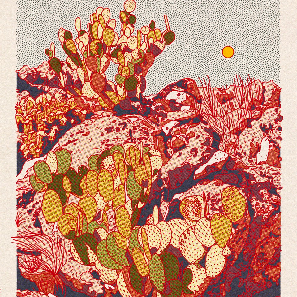 Cactus Planet Art Print #4