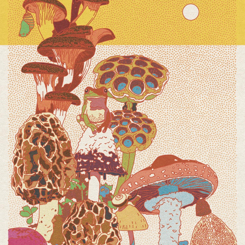 Mushroom Planet Art Print #1 (24" x 36")
