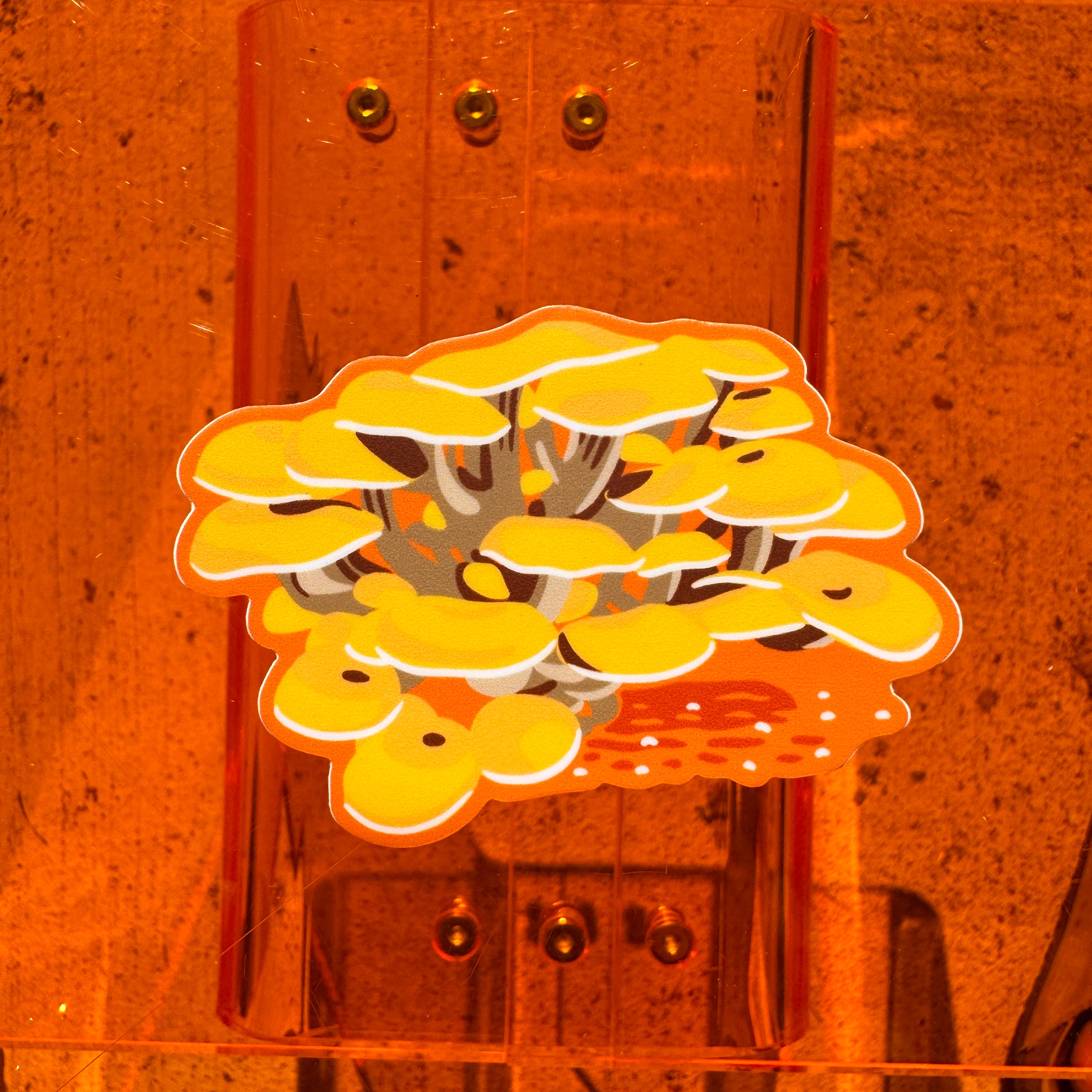 Golden Oyster Mushroom Sticker