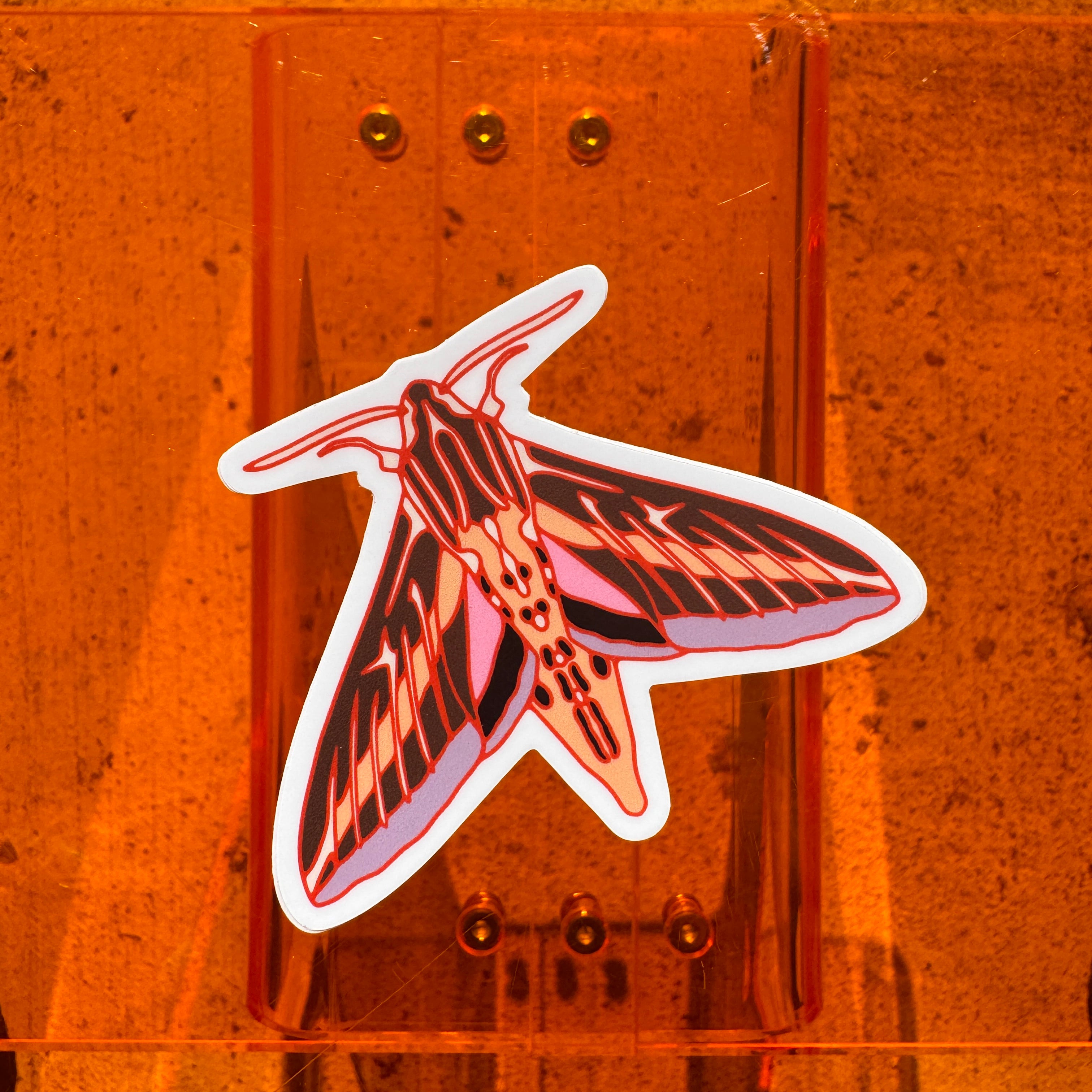 Sphinx Moth Sticker