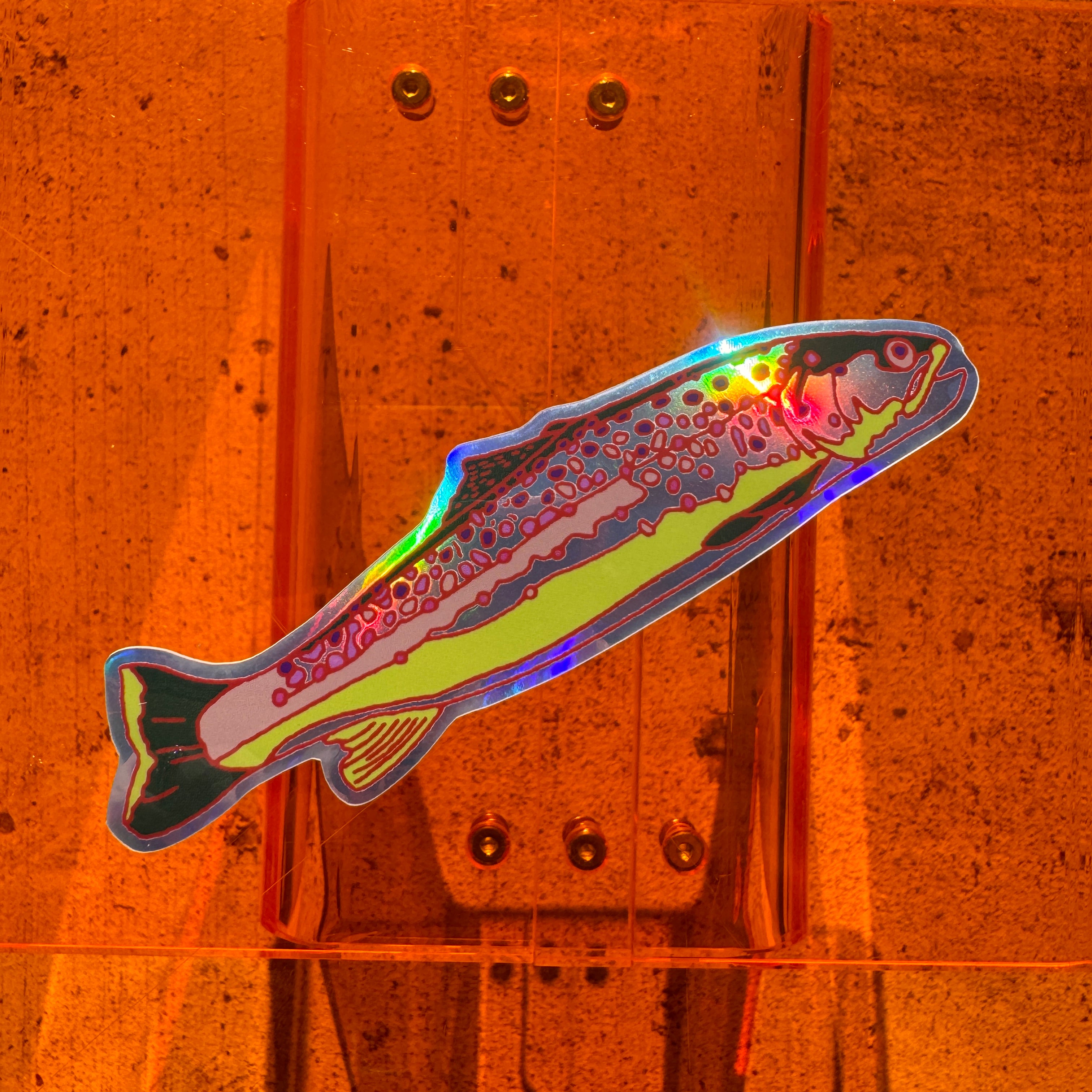 Brown Trout Sticker