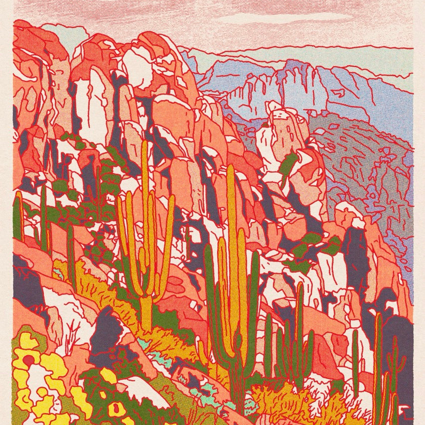 Desert Spring Art Print