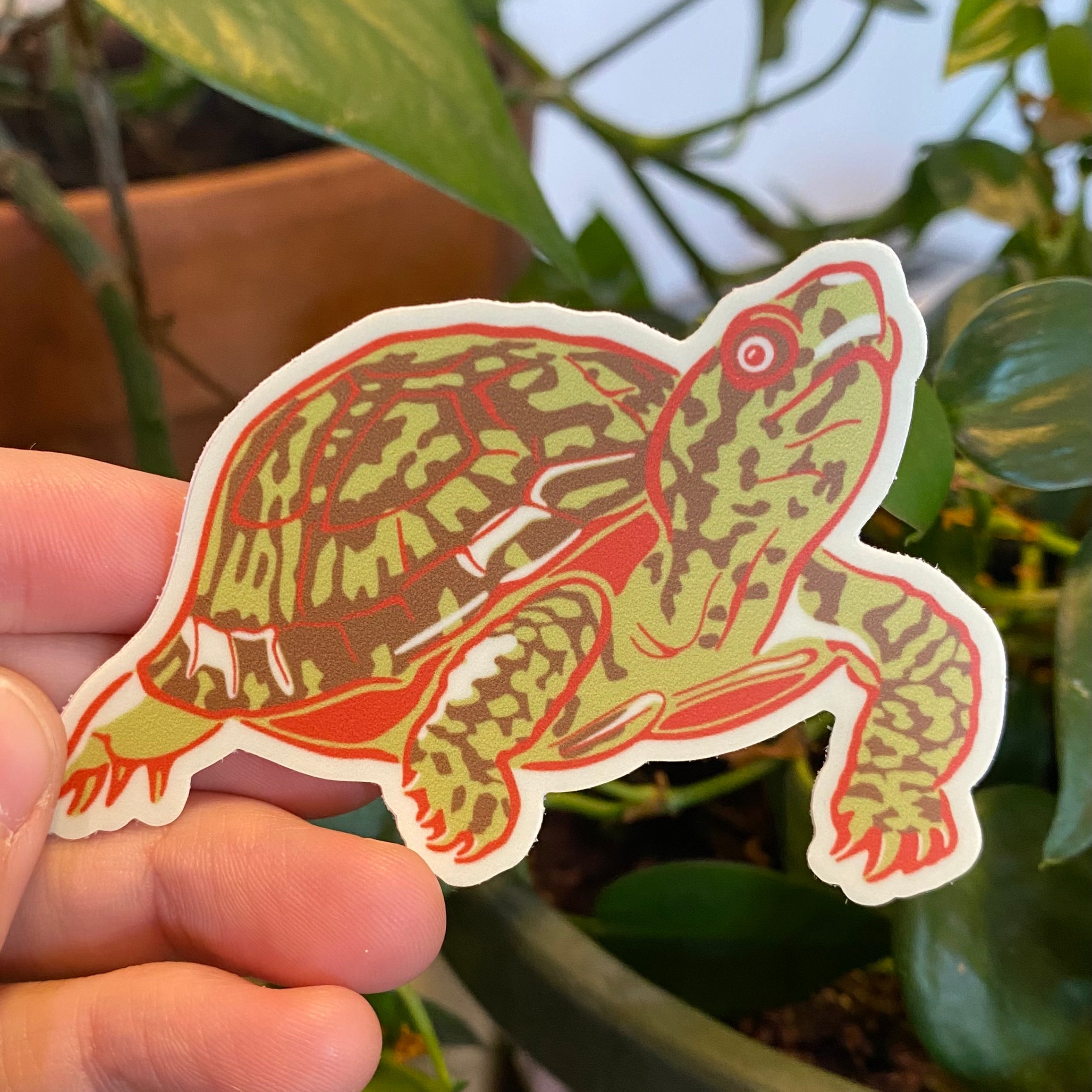 Turtle Sticker