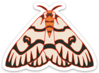 Leopard Moth Sticker