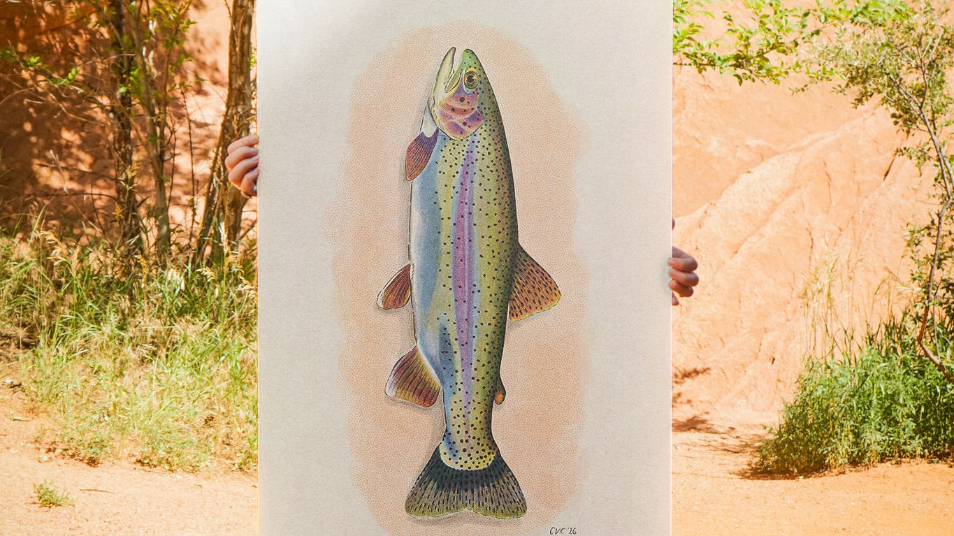 Trout Art and Stickers