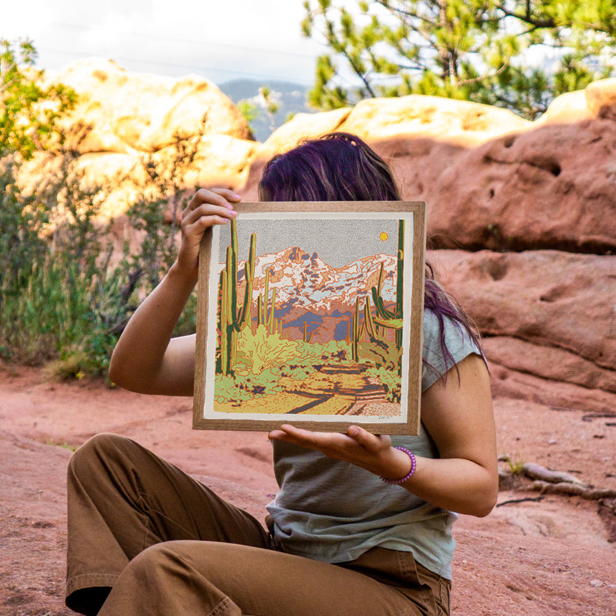 Catalina Desert Art Print