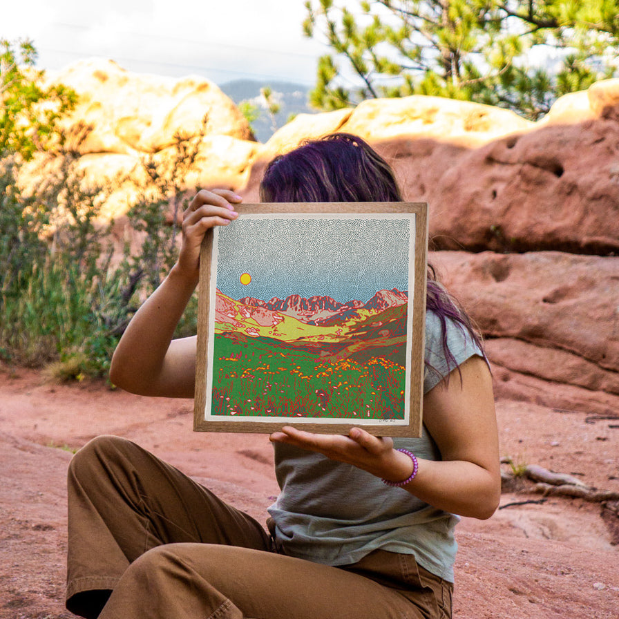 The American Basin Art Print
