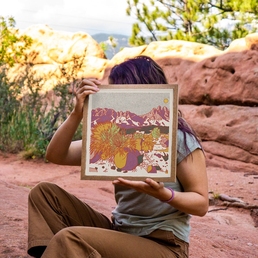Organ Mountains Art Print