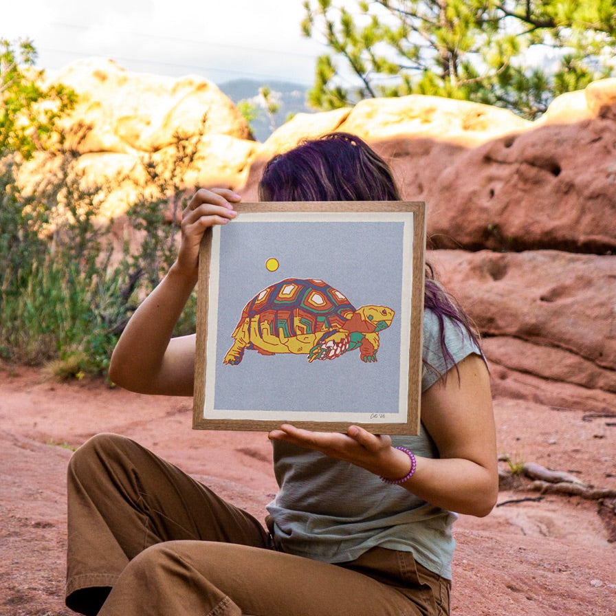 Desert Turtle Art Print
