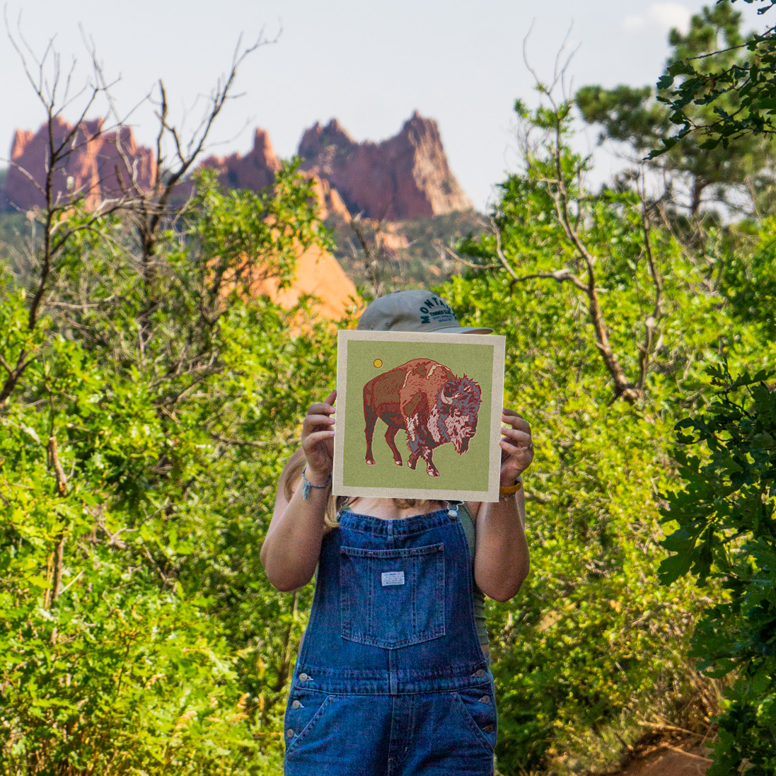 Bison Art Print