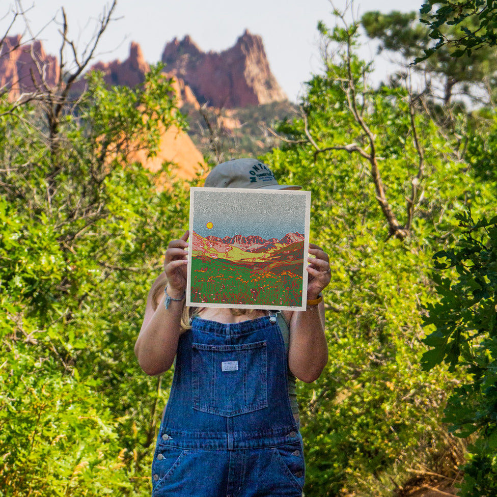 The American Basin Art Print