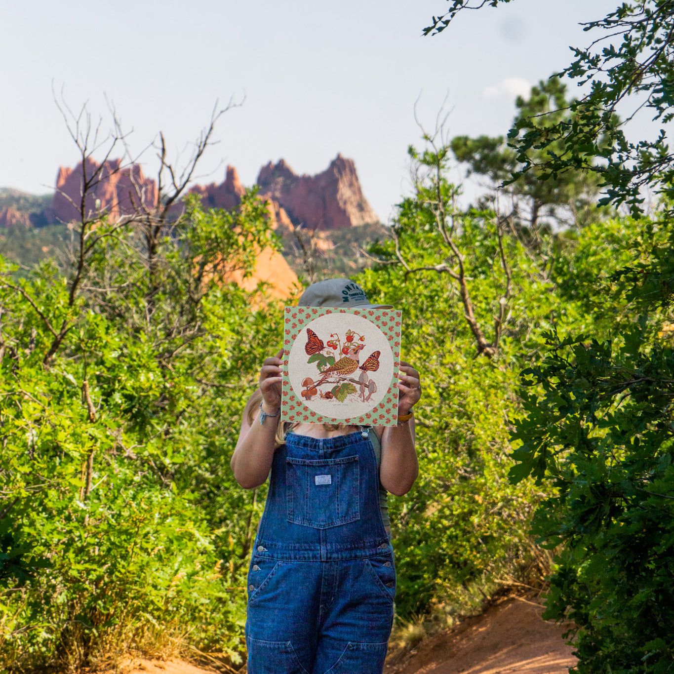 Northern Flicker Print