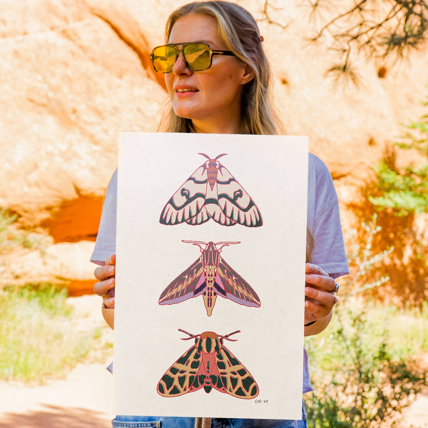 Three Moth Art Print