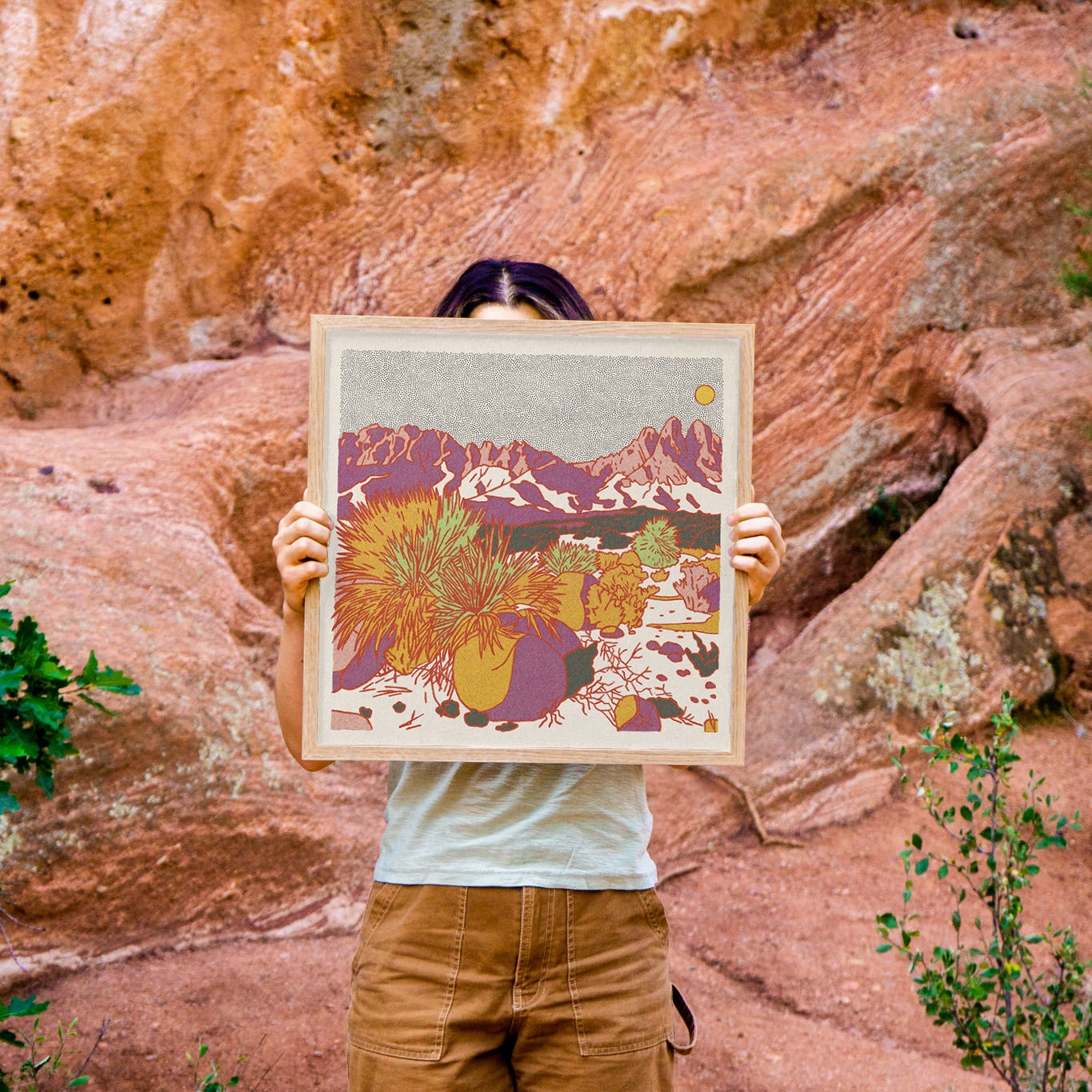 Organ Mountains Art Print