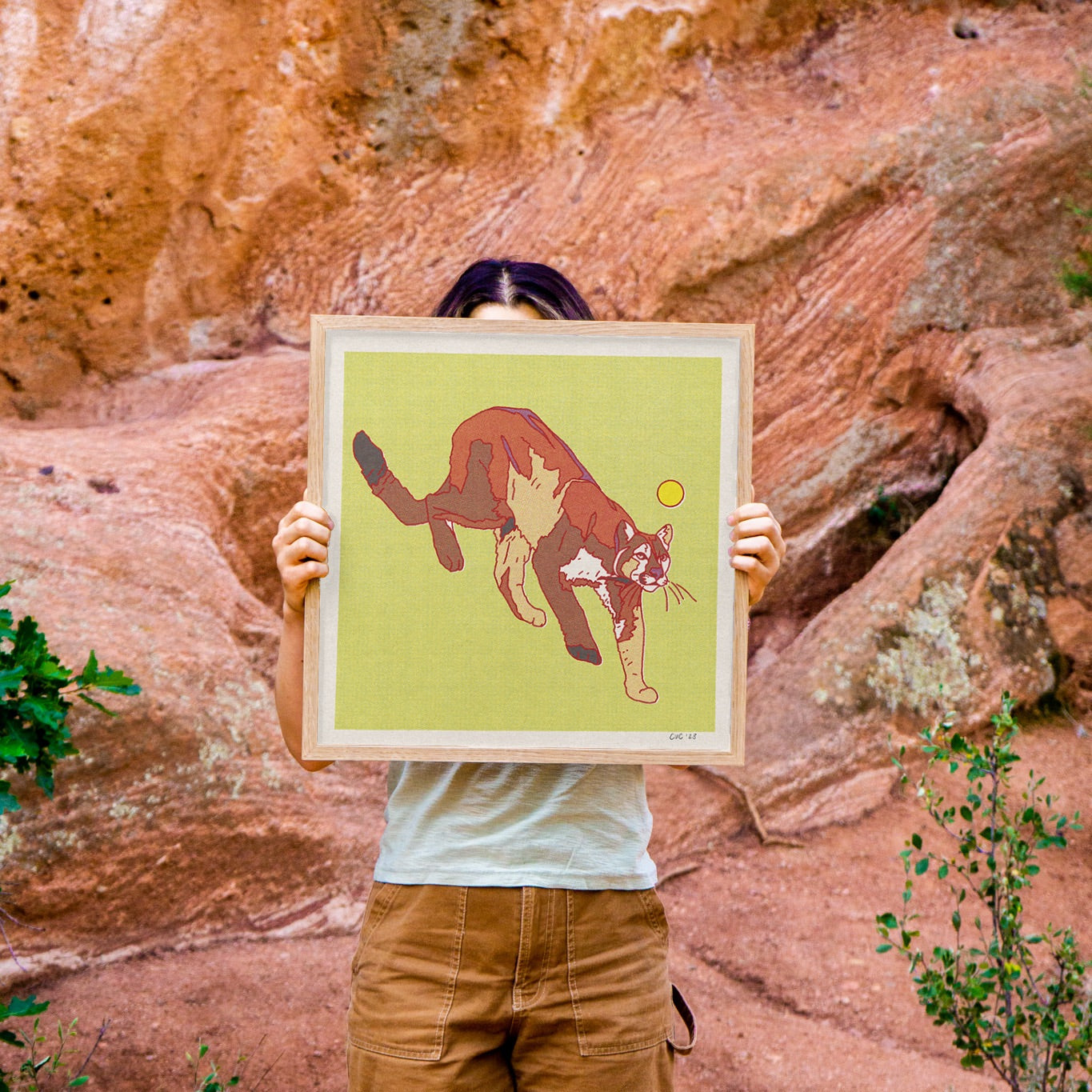 Mountain Lion Art Print
