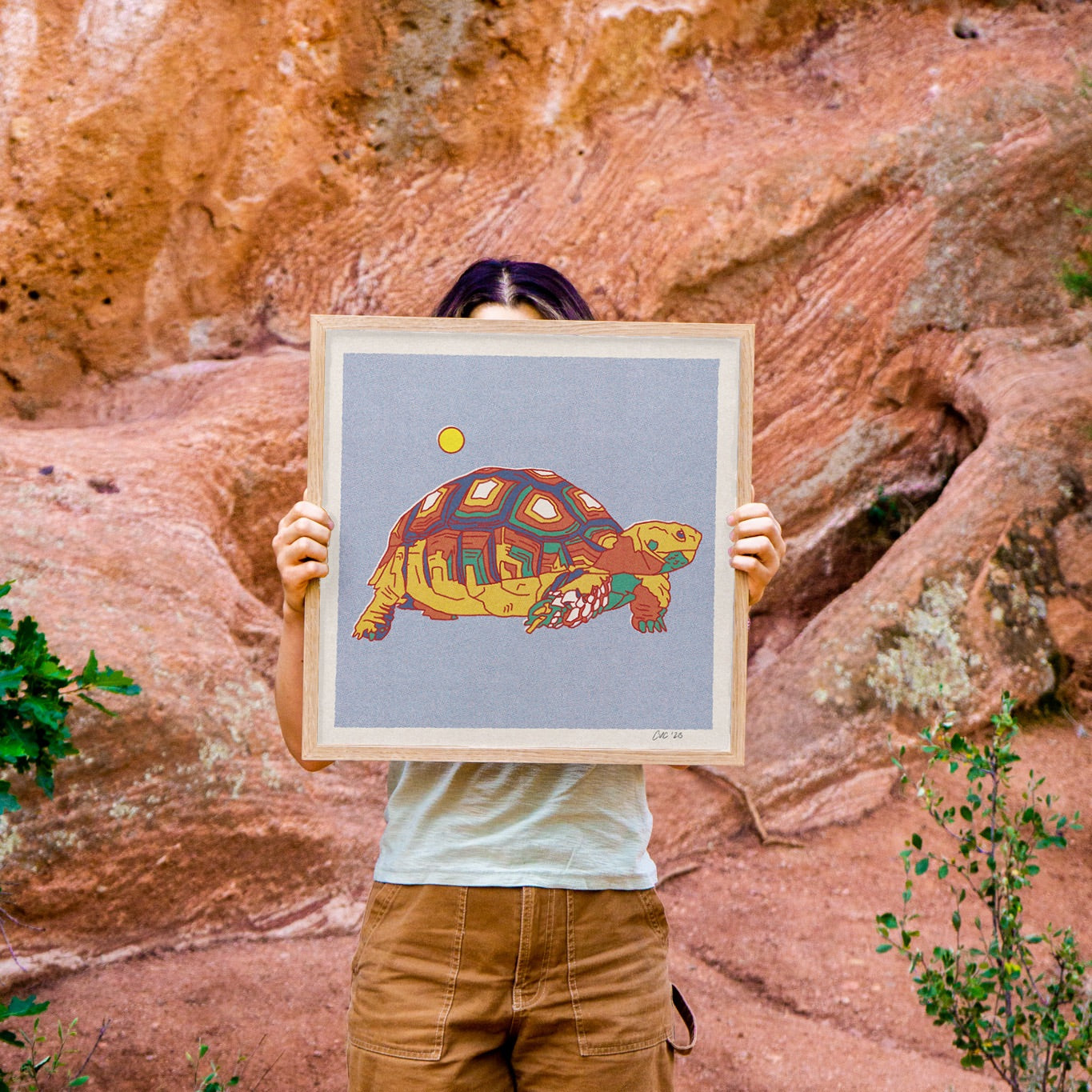 Desert Turtle Art Print