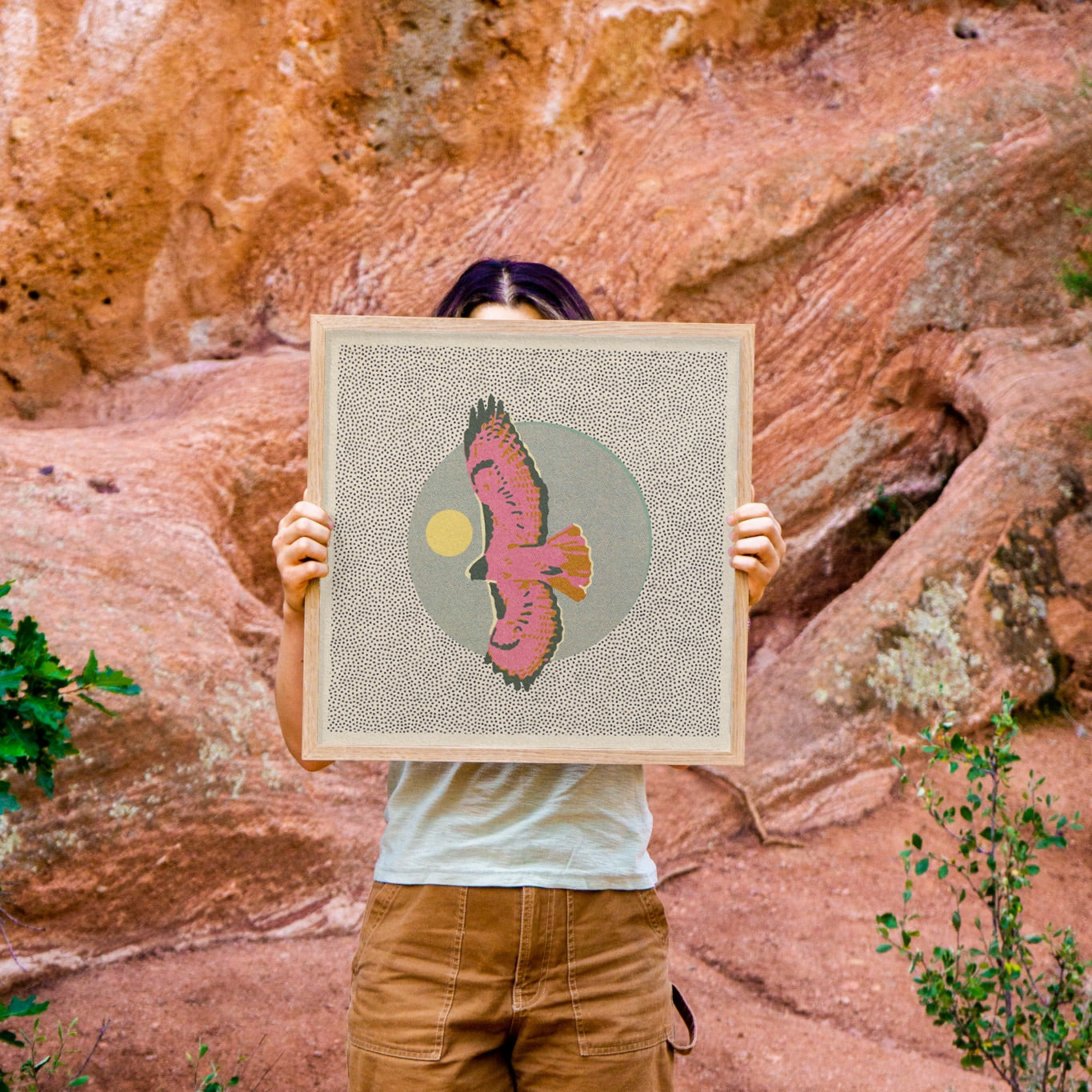 Hawk Art Print