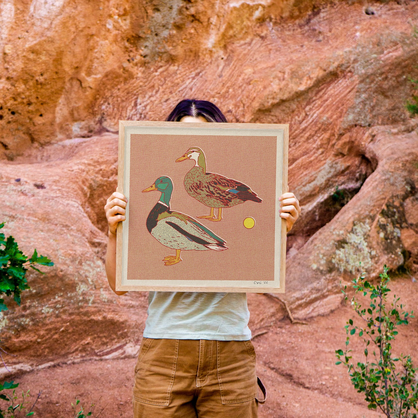 Duck Art Print