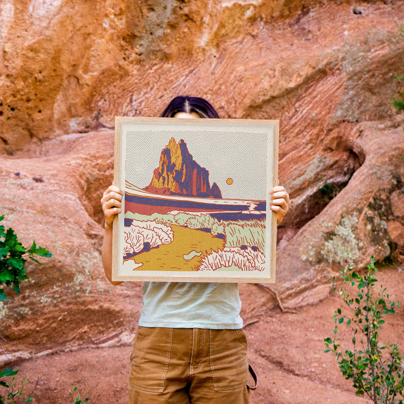Shiprock, New Mexico Art Print