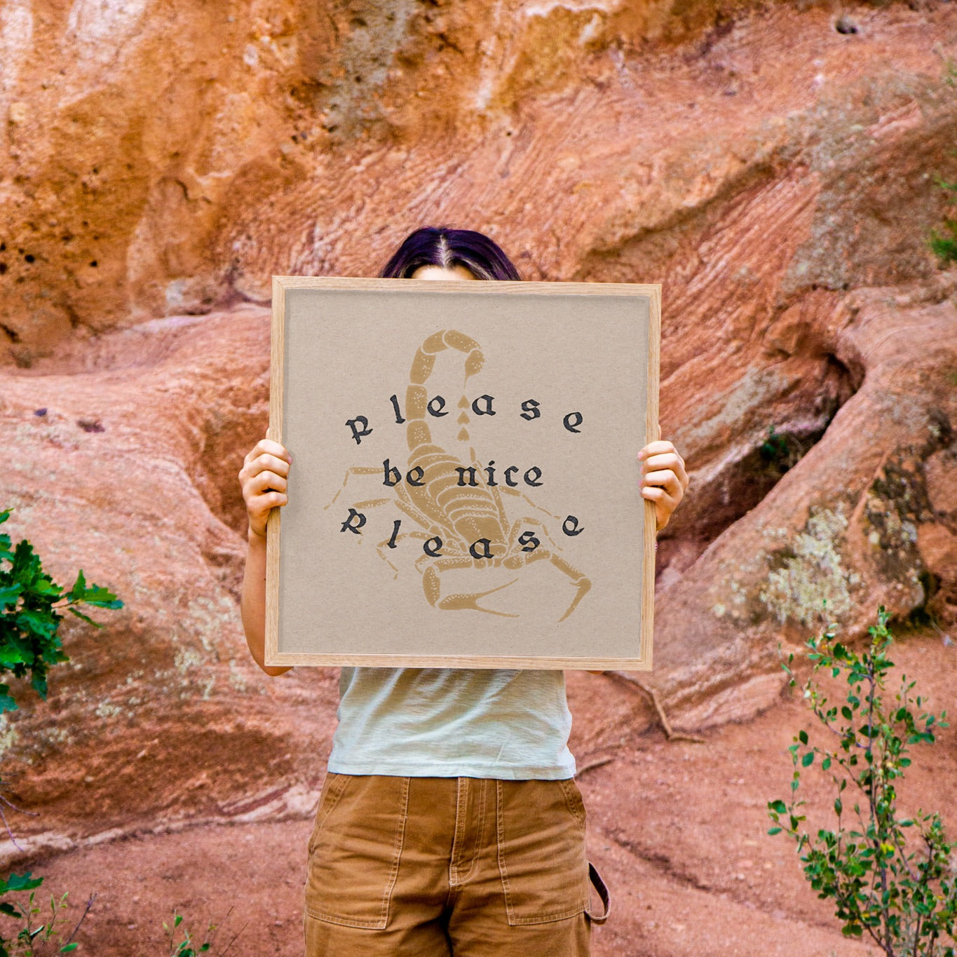 Nice Scorpion Art Print