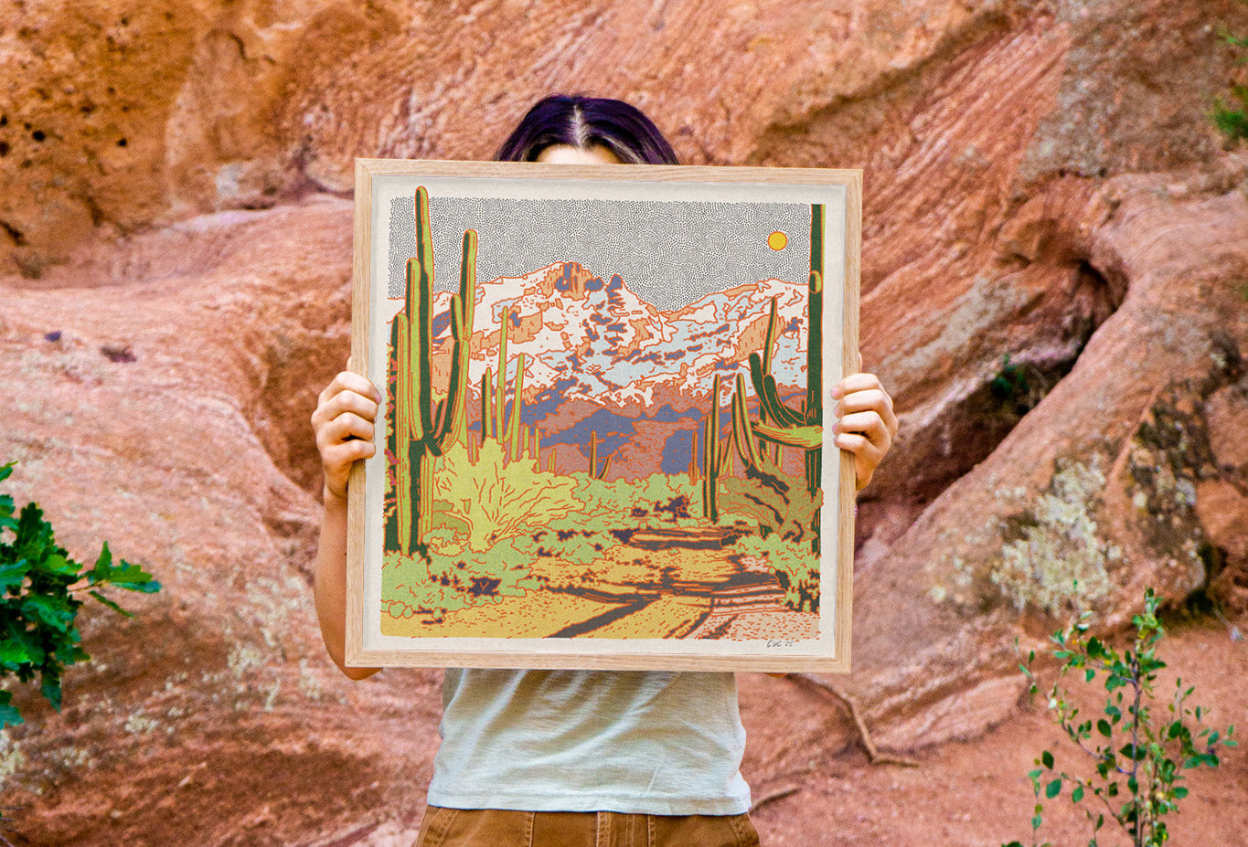 Catalina Desert Art Print