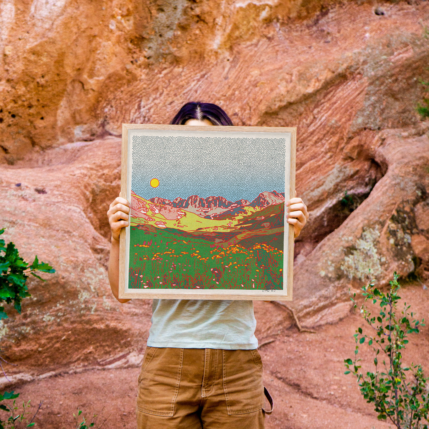 The American Basin Art Print