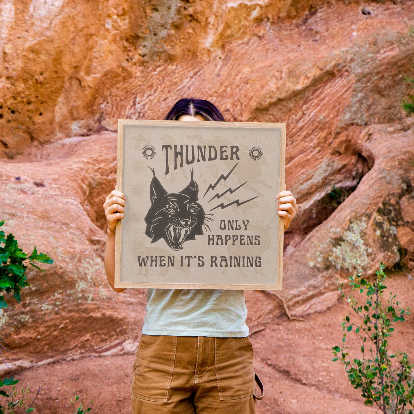 Thunder Cat Art Print
