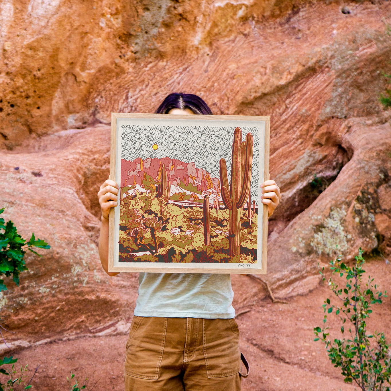Superstition Mountains Art Print