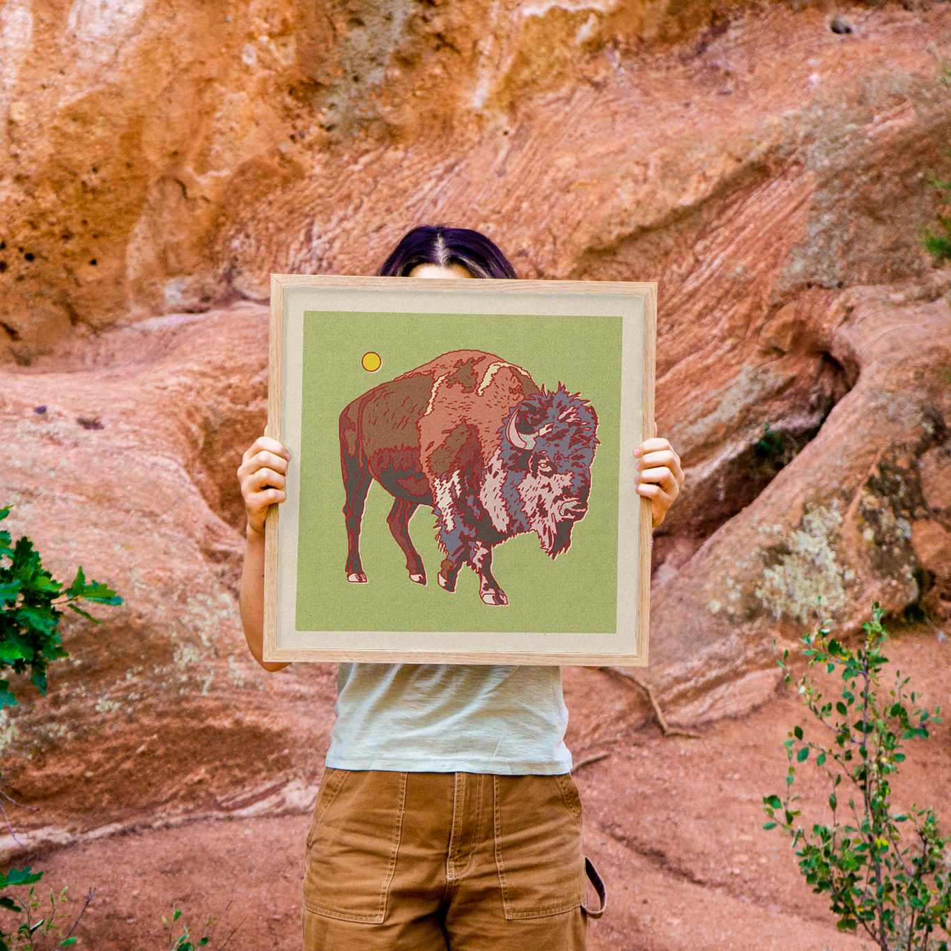Bison Art Print
