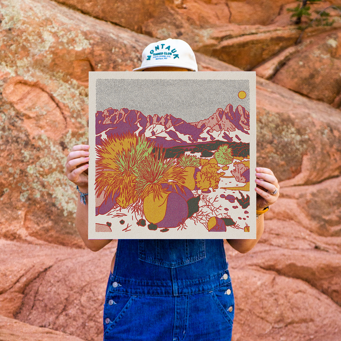 Organ Mountains Art Print