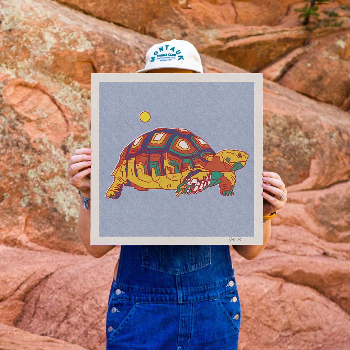 Desert Turtle Art Print