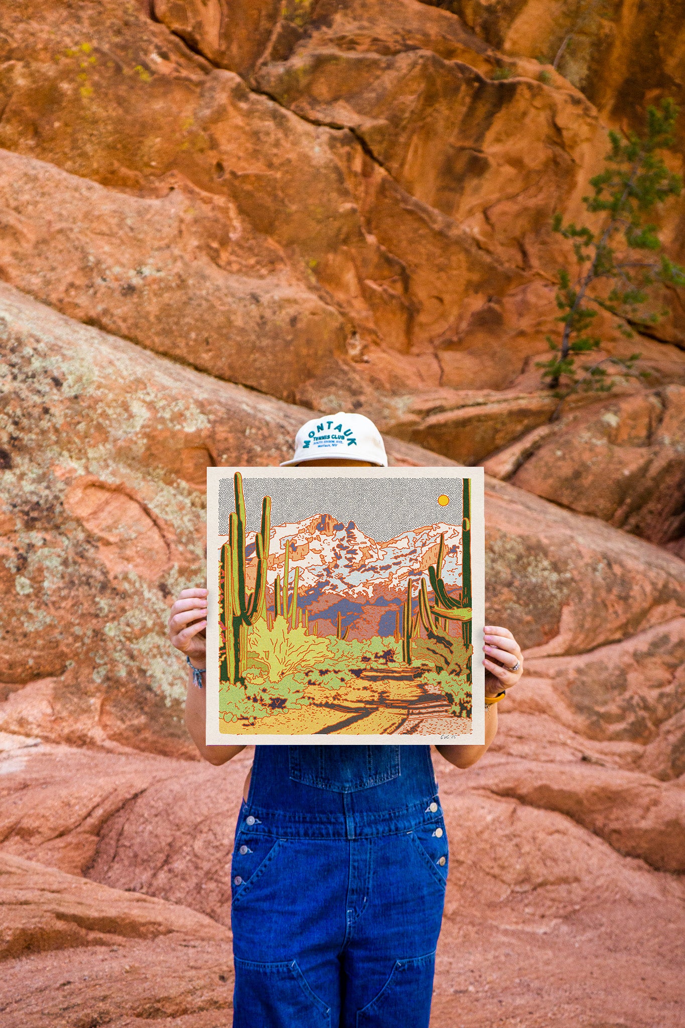 Catalina Desert Art Print