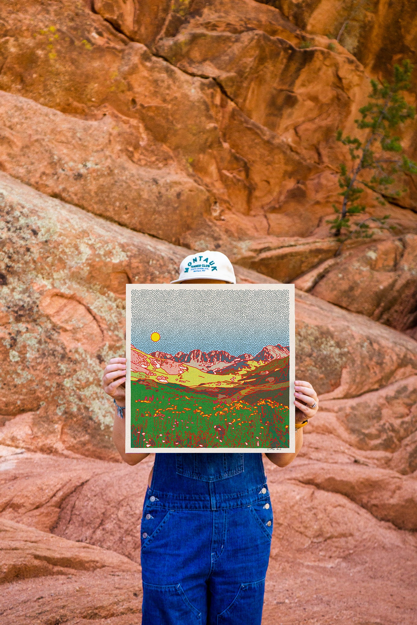 The American Basin Art Print