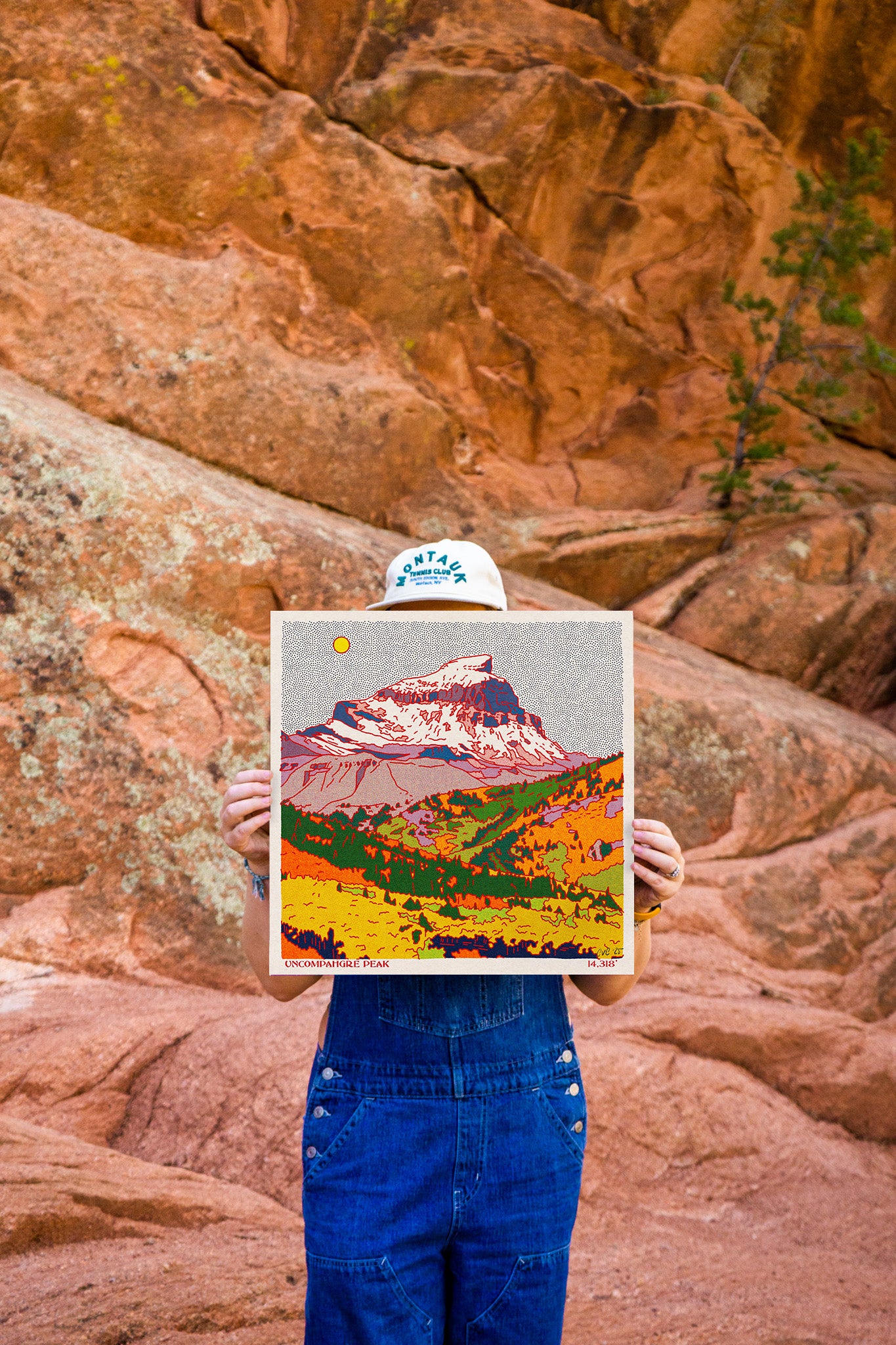 Uncompahgre Peak Art Print
