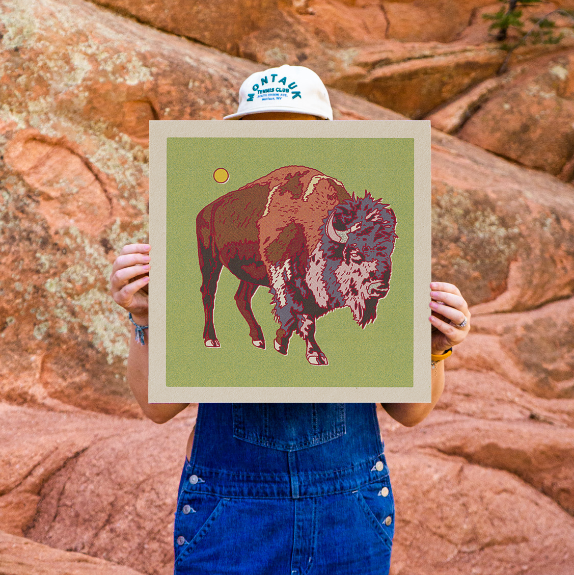 Bison Art Print