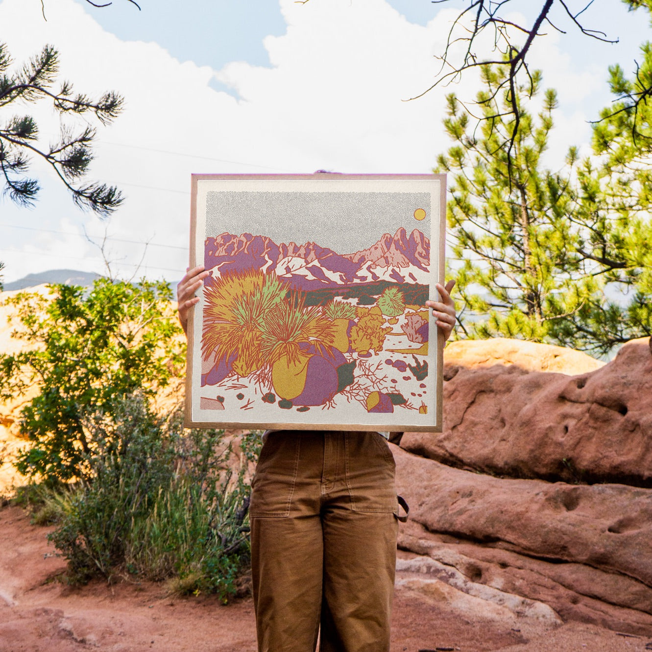 Organ Mountains Art Print