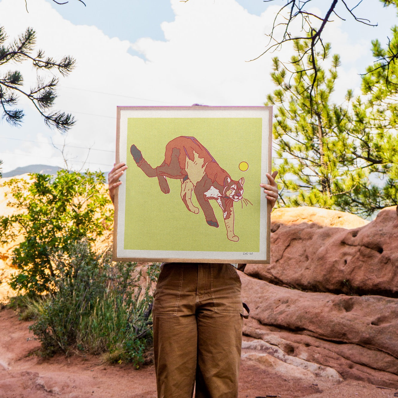 Mountain Lion Art Print