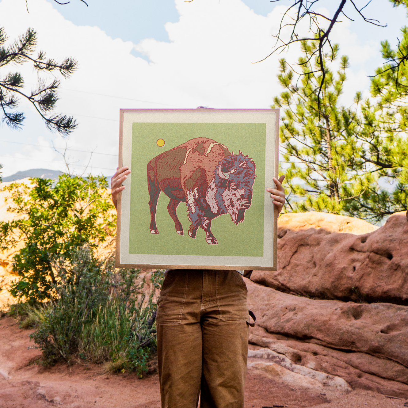 Bison Art Print