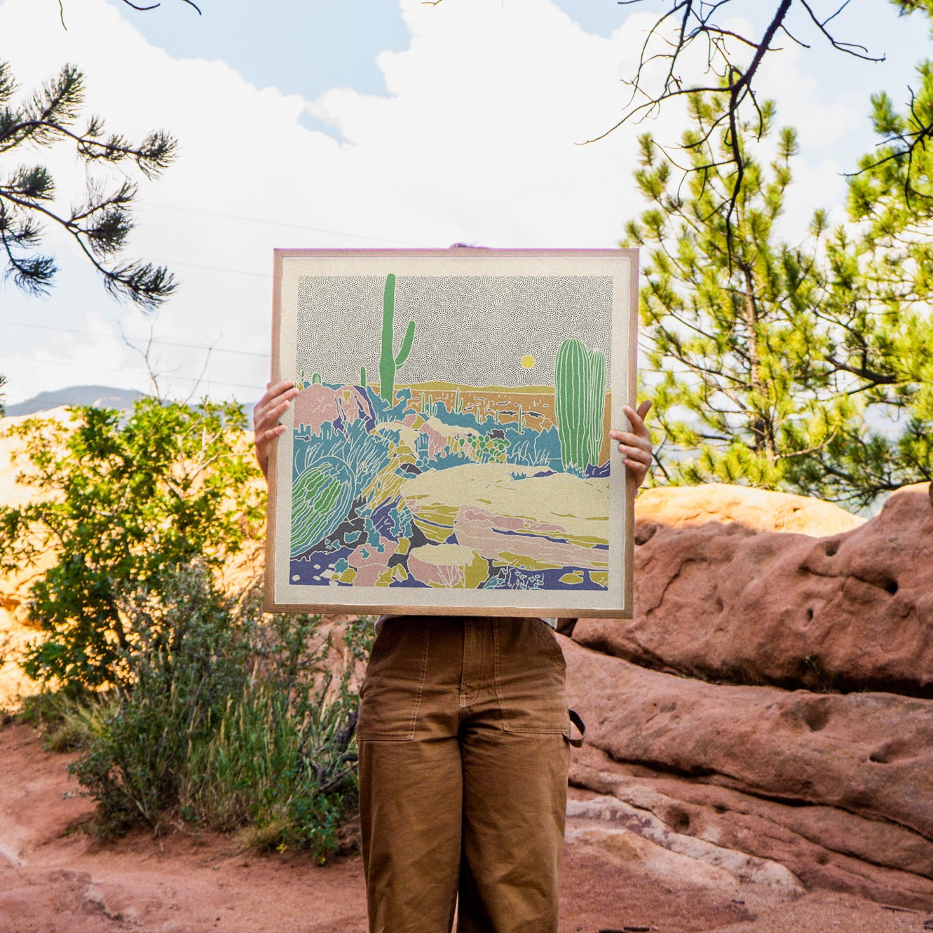 Desert Mountain #33