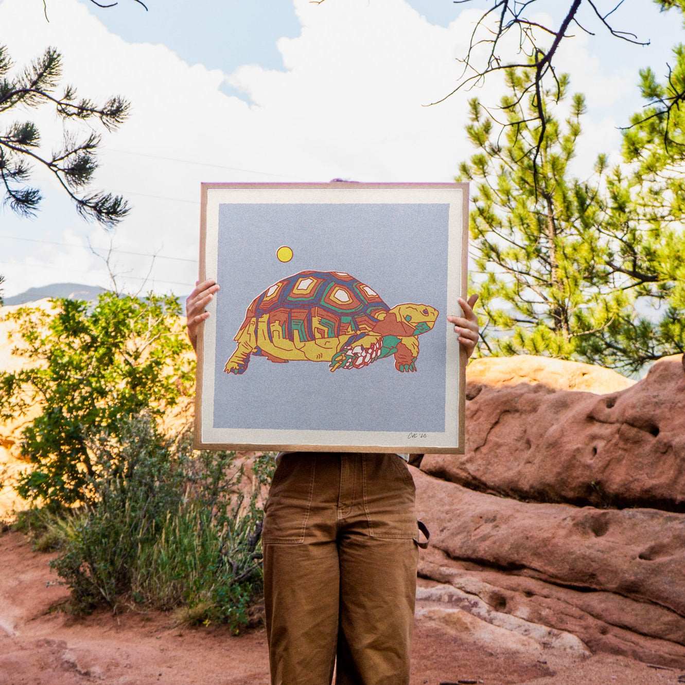 Desert Turtle Art Print