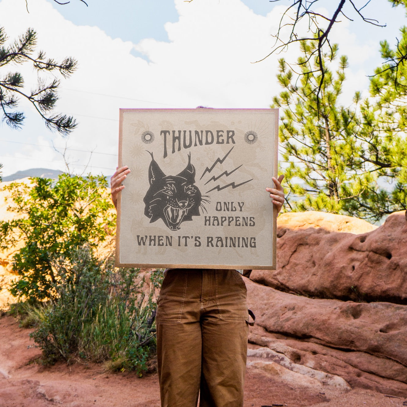 Thunder Cat Art Print