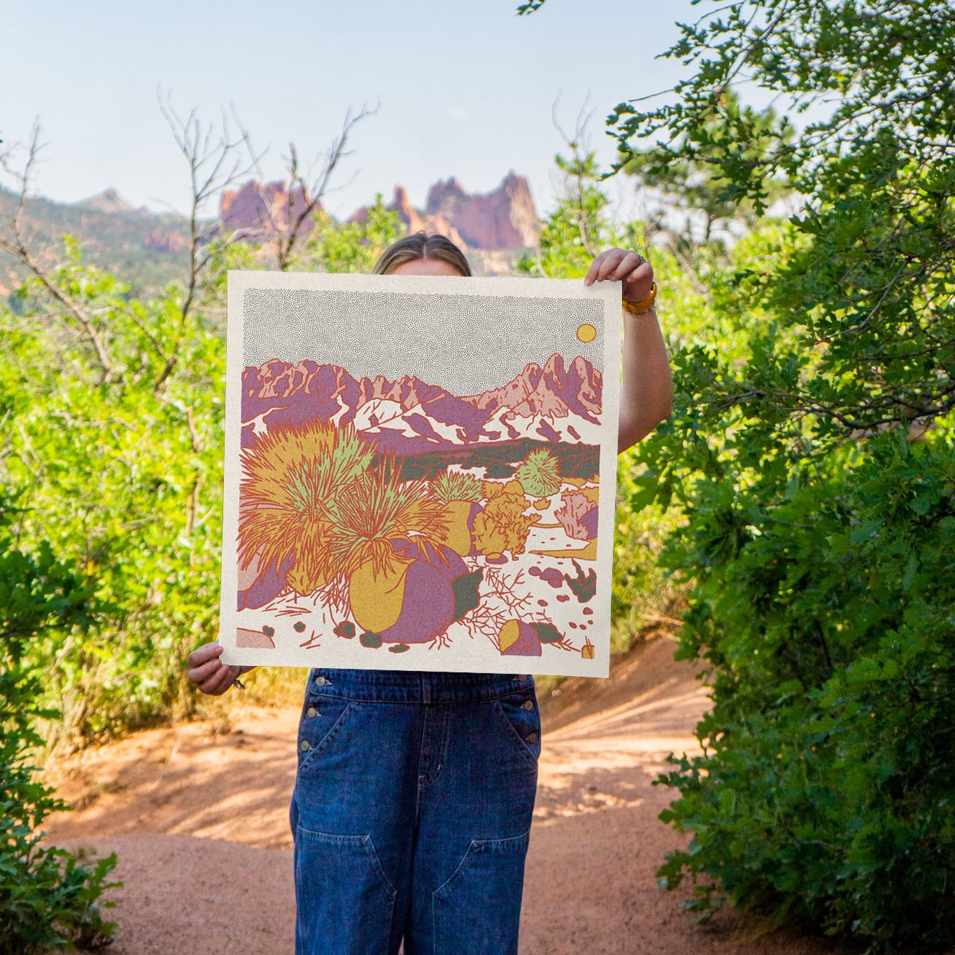 Organ Mountains Art Print