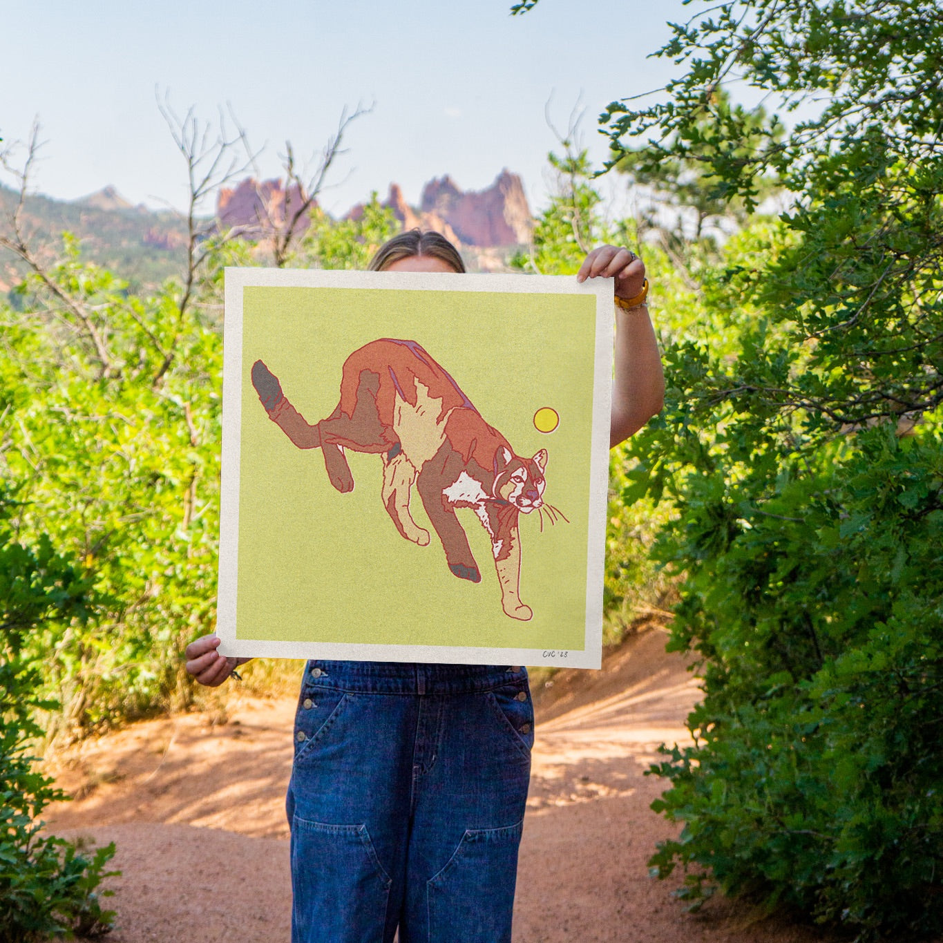 Mountain Lion Art Print