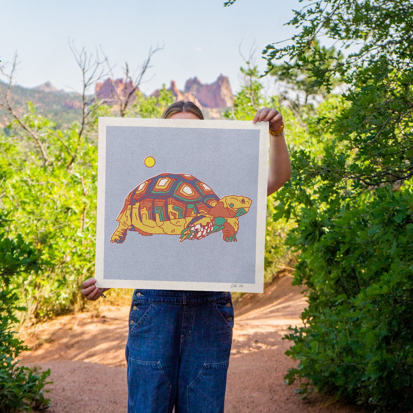 Desert Turtle Art Print