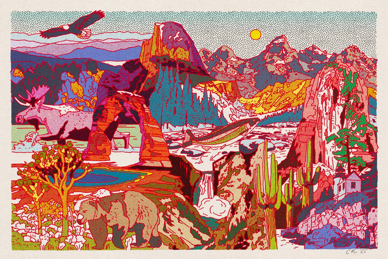 National Parks Collage