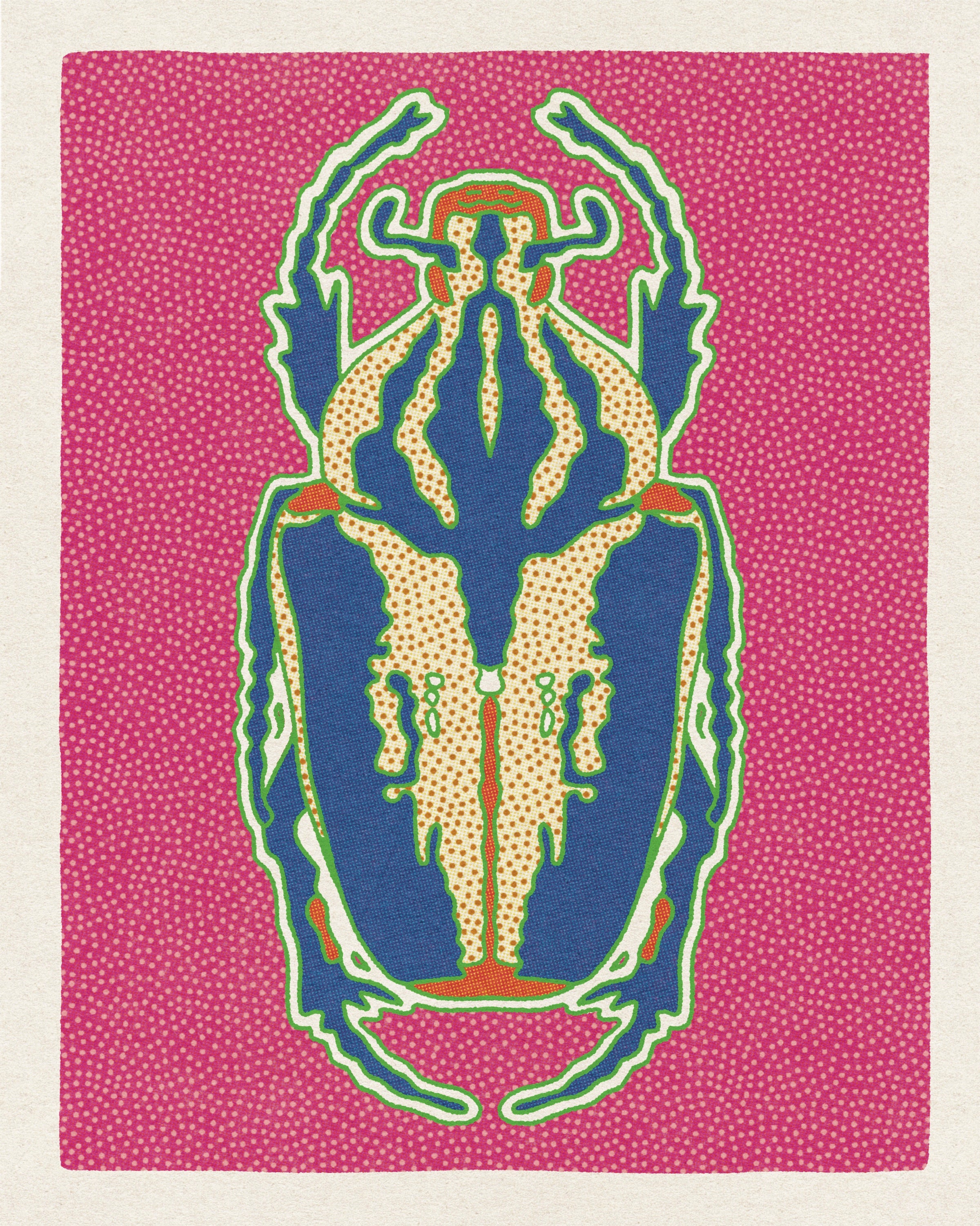 Desert Beetle Postcard Pack