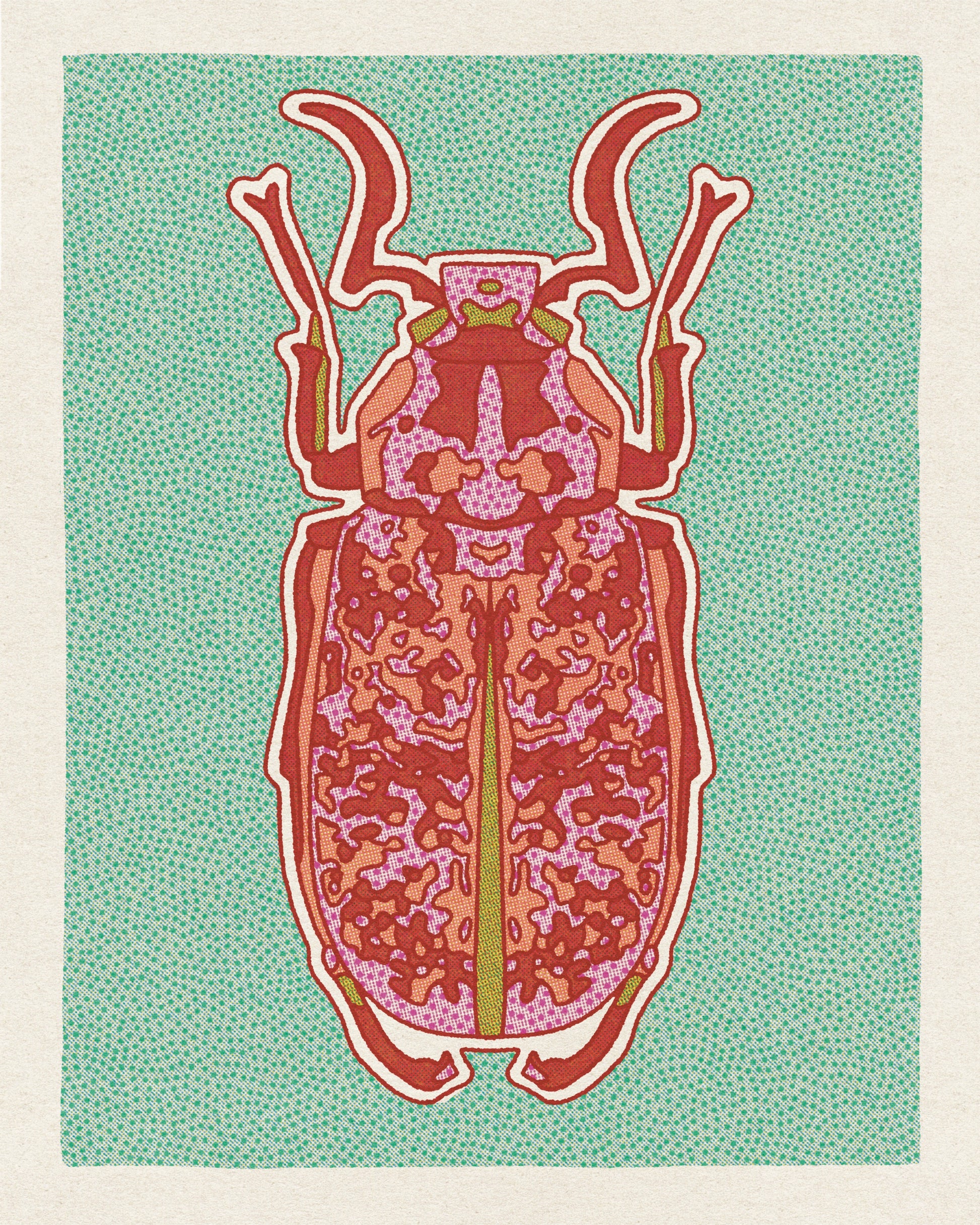Desert Beetle Postcards - Single Design